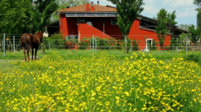 Отель Agriturismo Adriano Pedretti  Бадиа Полезине